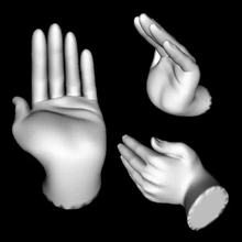 humano mão 3d impressão modelo trio 3d print model - Mito3D