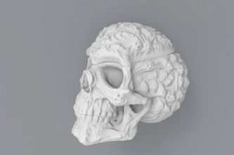human skull art 3D printing model, file, printable design, 3d print, skull, art, faces, anatomy, 3d print model - Mito3D