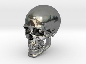 human skull science 3D printing model, file, printable design, 3d print, skull,human,bones,bone,head,humans 3d print model - Mito3D