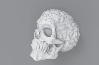 humano cráneo 3d impresión modelo trío Arte anatomía printing caras 3d print model - Mito3D