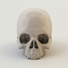 humano cráneo 3d impresión modelo trío anatomía huesos print calaveras alto escuela politécnica imprimible cráneos detallado hueso 3d print model - Mito3D