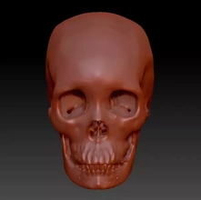 humano cráneo ct escanear 3d impresión modelo trío anatomía artería vasos contraste 3d print model - Mito3D