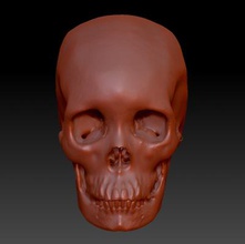 human skull ct scan science 3D printing model, file, printable design, 3d print, human, anatomy, skull, CT, scan, artery, vessels, contrast 3d print model - Mito3D