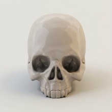 human skull science 3D printing model, file, printable design, 3d print, printable, skull, anatomy, bones, cranium, craniums, high detailed, poly, bone, skulls, textured vray, xray 3d print model - Mito3D
