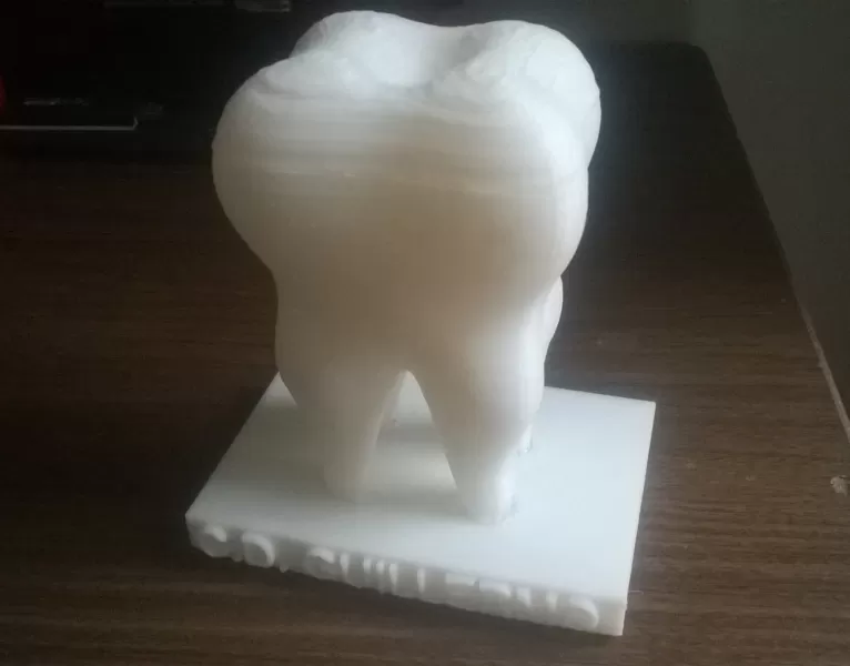 human tooth 3d printing model - threeding anatomy teeth bones 3D print model - Mito3D