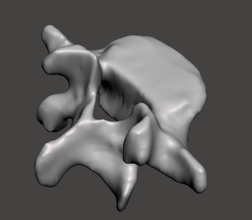 humanos vértebra l5 ciência 3D modelo de impressão, a impressão arquivo design, 3d, vértebras,a coluna vertebral,do sexo feminino 3d print model - Mito3D