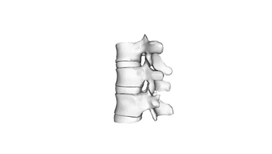 humano vertebral coluna 3d impressão modelo trio 3d print model - Mito3D