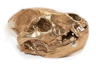 hyena skull pendant loop 3d printing model - threeding animal 3d print model - Mito3D