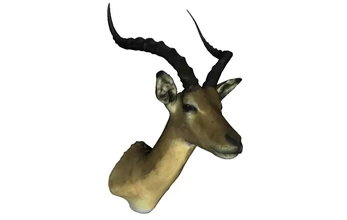 Insel Antilope 3d Drucken Modell dreiding Natur Tier Afrika Albtraum 3d print model - Mito3D