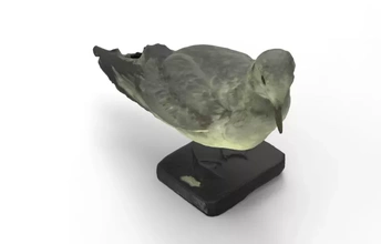 larus 3d baskı model üçleme kuş doğa hayvan deniz kuşlar okyanus 3d print model - Mito3D