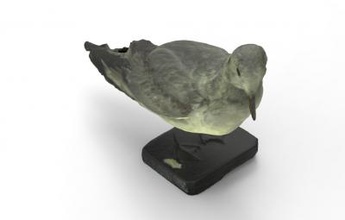 larus la naturaleza 3D modelo de impresión, impresión en archivo, imprimibles 3D, diseño 3d, Larus, océano, mar, pájaros, las aves, los animales, 3d print model - Mito3D