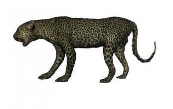 leopard nature 3D printing model, file, printable design, 3d print, nature, animal, leopard, panthera, big, cats, africa 3d print model - Mito3D