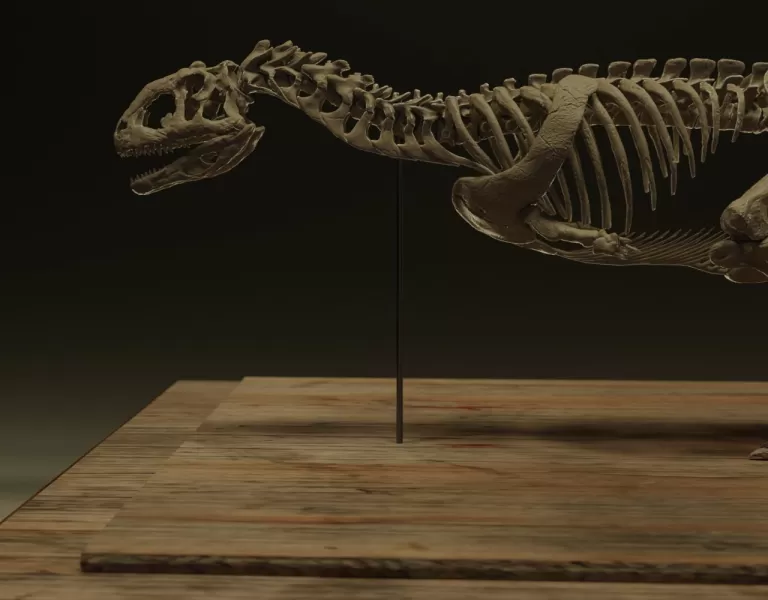 majungasaurus squelette 3d impression modèle paléontologie dinosaure art dinosaures paléoart dinorépondre 3D print model - Mito3D