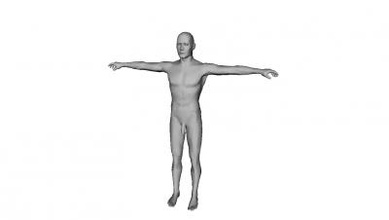 corps de l'homme la nature 3D modèle d'impression, l'impression fichier, imprimable modèle, en conception, d'impression 3d, sexe masculin, le corps, forme base, plastique, l'anatomie 3d print model - Mito3D
