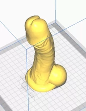 maschio genitale organo 3d stampa modello treding riproduttivo 3d print model - Mito3D