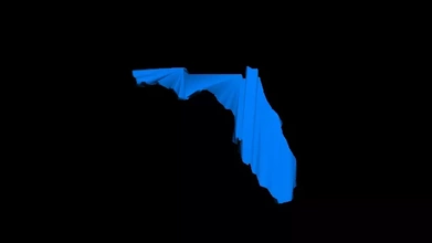 harita Florida 3d baskı model üçleme Amerika Birleşik Devletleri 3d print model - Mito3D