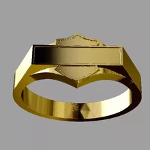 Erkeklerin yüzük 3d baskı model üçleme mücevher erkekler zlatnictvi aa 3d print model - Mito3D