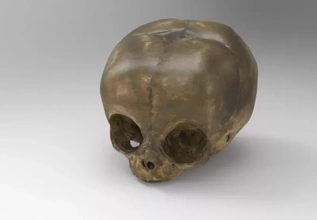 modelo bebé cráneo individual meses 3d impresión trío anatomía printing 3d print model - Mito3D