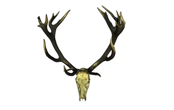 modello cervo corna 3d stampa treding natura animale corno maschio 3d print model - Mito3D