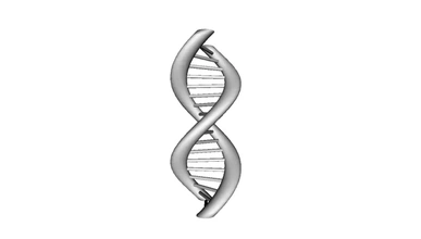 model insan DNA 3d baskı üçleme 3d print model - Mito3D