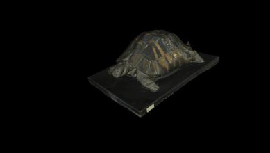model tortoise ready 3d print nature 3D printing model, file, printable design, print, Tortoises, turtle, nature, animal 3d print model - Mito3D