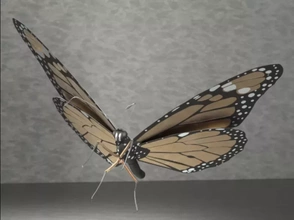 monarca borboleta 3d impressão modelo trio 3d print model - Mito3D