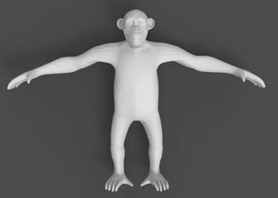 scimmia 3d stampa modello treding animale printing in piedi quando 3d print model - Mito3D