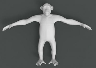 monkey toys games & hobby 3D printing model, file, printable design, 3d print, Monkey, khi, animal, standing, 3d print model - Mito3D