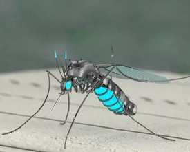 mosquito asesino robot 3d impresión modelo trío 3d print model - Mito3D