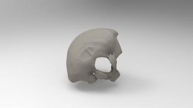 occipital bone science 3D printing model, file, printable design, 3d print, anatomy, science, human, bone, skull 3d print model - Mito3D