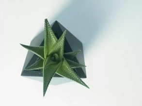 octaèdre planteur 3d impression modèle trio décoration pot vivant Plastique étagère Extérieur moderne intérieur bureau jardinage élégant succulent cactus 3d print model - Mito3D