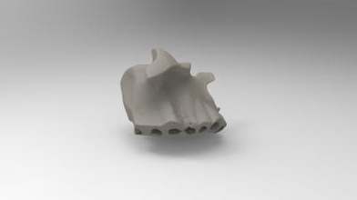 part maxillae bone science 3D printing model, file, printable design, 3d print, half, human, mandible, skulls, anatomy, bones, 3d print model - Mito3D