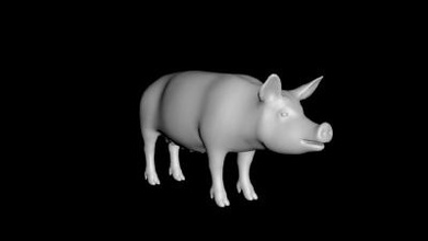 Schwein Natur 3D-Druck-Modell, 3D-Druck-Datei, 3D-druckbares Modell, 3D-Druck, design, 3d-drucken, 3d print model - Mito3D