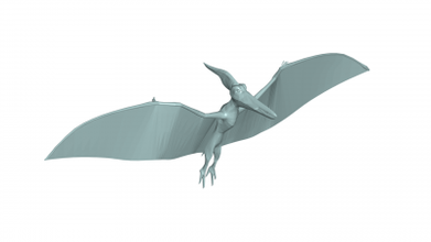 pterandn 3d modelo 3D impressão Arquivo imprimível Projeto 3d print model - Mito3D