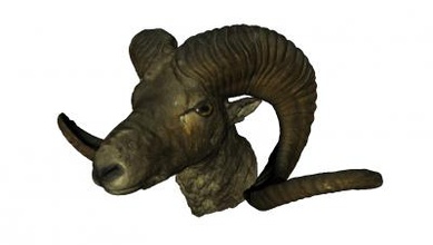 ram head nature 3D printing model, file, printable design, 3d print, ram, sheep, animal, nature, 3d print model - Mito3D