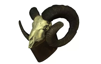 RAM crâne 3d impression modèle trio nature mouton animal 3d print model - Mito3D