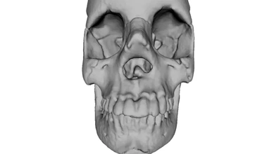 réaliste Humain crâne 3d impression modèle trio 3d print model - Mito3D