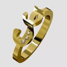ring 3d printing model - threeding zlatnictvi-a 3d print model - Mito3D
