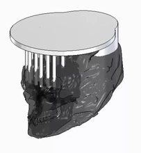 squillare cranio 3d stampa modello treding tete 3d print model - Mito3D