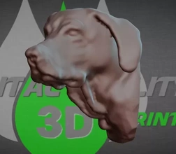 kamış Ziai sırt üstü köpek baş 3d baskı model üçleme 3d print model - Mito3D