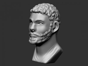 roman bust art 3D printing model, file, printable design, 3d print, bust,roman,statue,art 3d print model - Mito3D