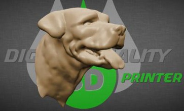 rottweiller perro con la cabeza naturaleza 3D modelo de impresión, impresión en archivo, imprimibles 3D, diseño 3d, Rottweiler 3d print model - Mito3D