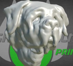 san bernardo perro de st bernhardshund bernhardiner la naturaleza 3D modelo impresión, impresión en archivo, imprimibles 3D, diseño 3d, San Bernardo Perro Bernhardshund – Bernhardiner 3d print model - Mito3D