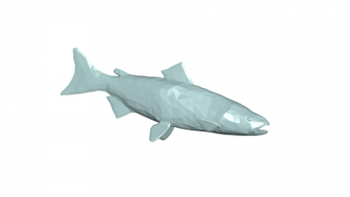 salmón 3d modelo 3D impresión expediente imprimible diseño 3d print model - Mito3D