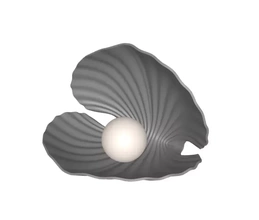 sea shell pearl 3d printing model - threeding 3d print model - Mito3D