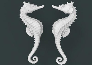 seahorse art 3D printing model, file, printable design, 3d print, seahorse, animal, art, prrinting 3d print model - Mito3D