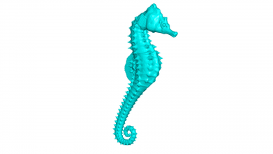 Seepferdchen Natur 3D Drucken Modell Datei druckbar Design 3d drucken 3d print model - Mito3D