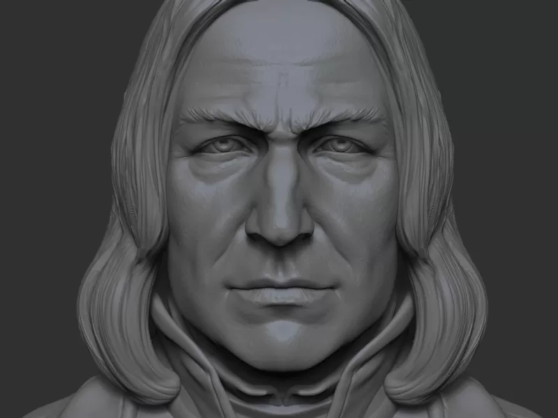 severus snape 3d impresión modelo trío busto hombre cabeza magia personaje Harry alfarero mago wizzard harrypotter J K Rowling hogwarts slytherin comedor muerte 3D print model - Mito3D