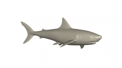 shark 3d model 3D printing model, file, printable design, print, SHARK 3d print model - Mito3D