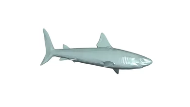 shark 3d model printing - threeding 3d print model - Mito3D
